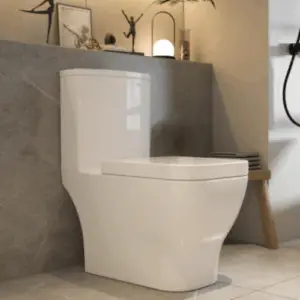Repairing Running Toilets Repairing Running Toilets